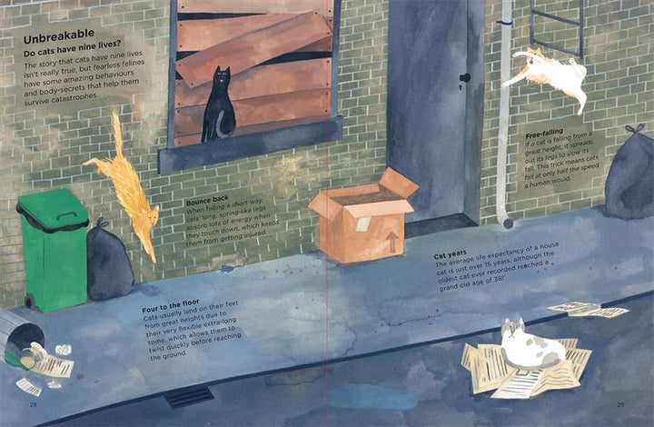 Why Do Cats Meow? - Just Fabulous Palm Springs