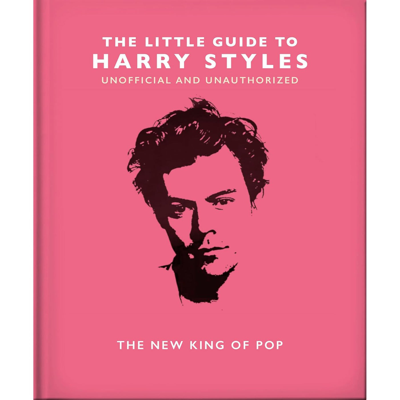 The Little Guide To Harry Styles