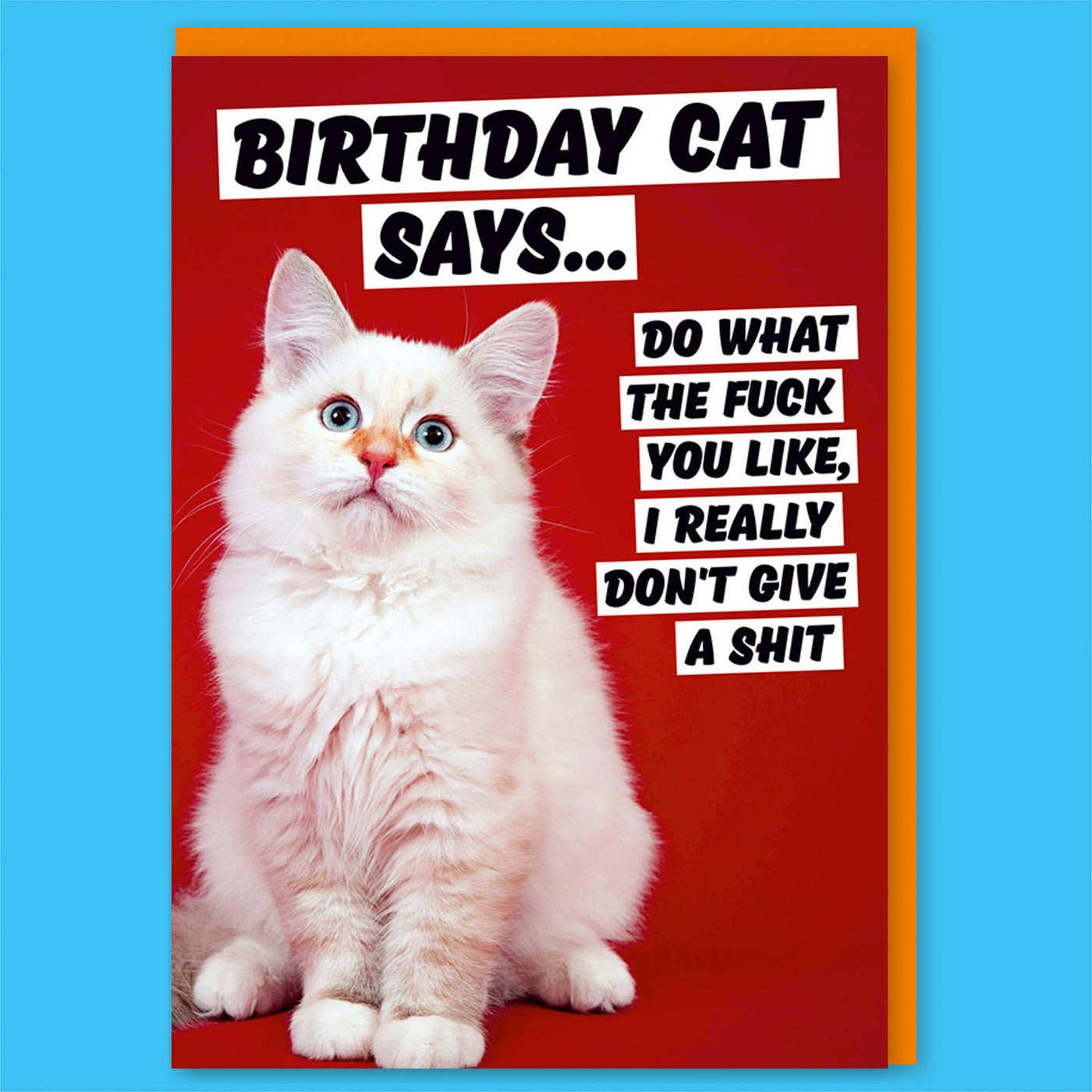 Birthday Cat Says Birthday Card