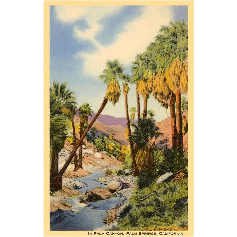Creek Through Palm Canyon, Palm Springs Blank Greeting Card