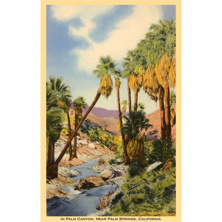Palm Canyon Palm Springs Blank Greeting Card