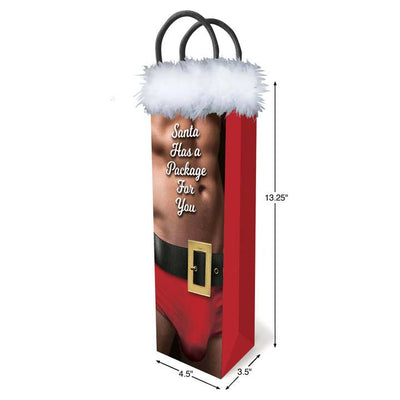 Santa Has A Package For You Gift Bag