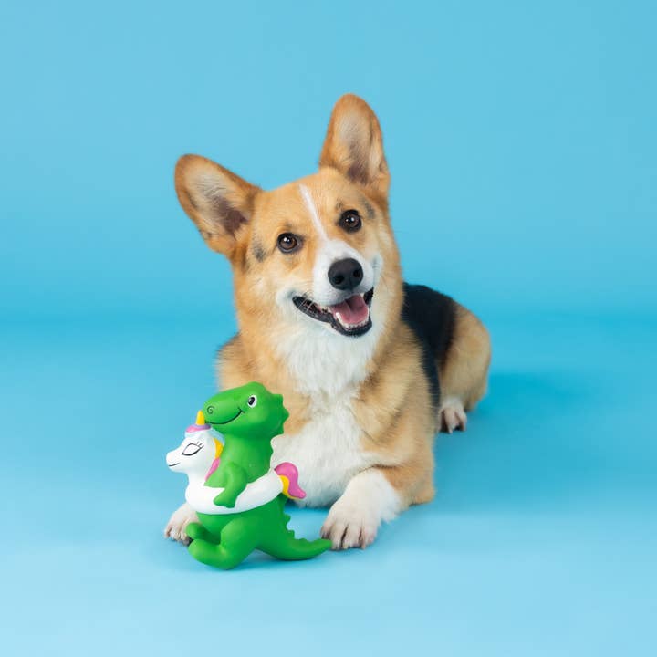 Poolside Rex Latex Dog Toy - Just Fabulous Palm Springs