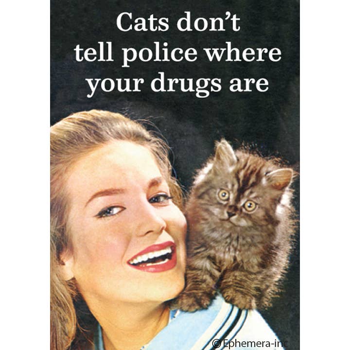 Magnet: Cats Don't Tell Police Where Your Drugs Are