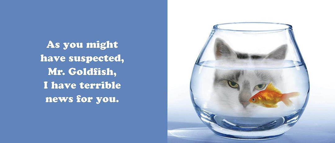 Secret Thoughts Of Cats