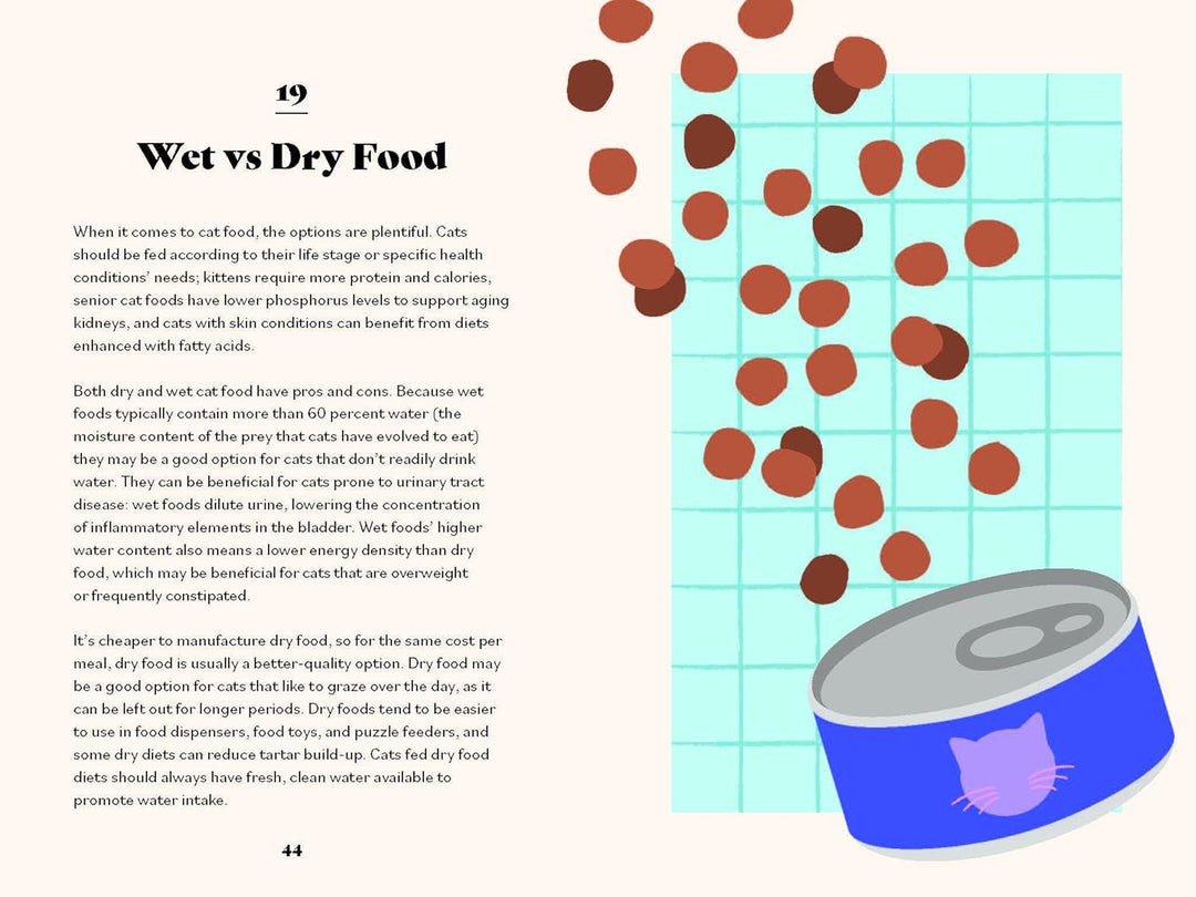 The Ultimate Guidebook For Cat Owners