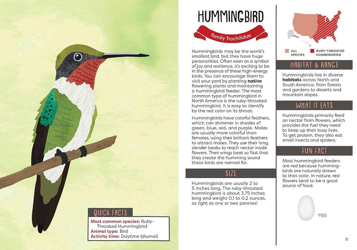 A Kid's Guide To Backyard Animals