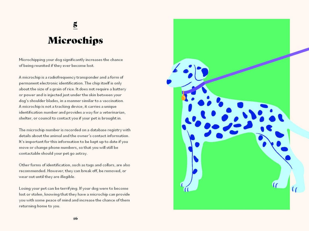 The Ultimate Guidebook For Dog Owners