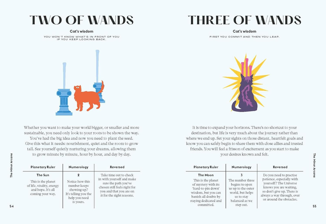 Wise Cat Tarot Cards