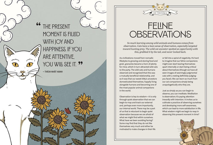 Mystic Kitty: A cat's Guide To Meditation - Just Fabulous Palm Springs