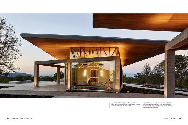 New Architecture Of Wine