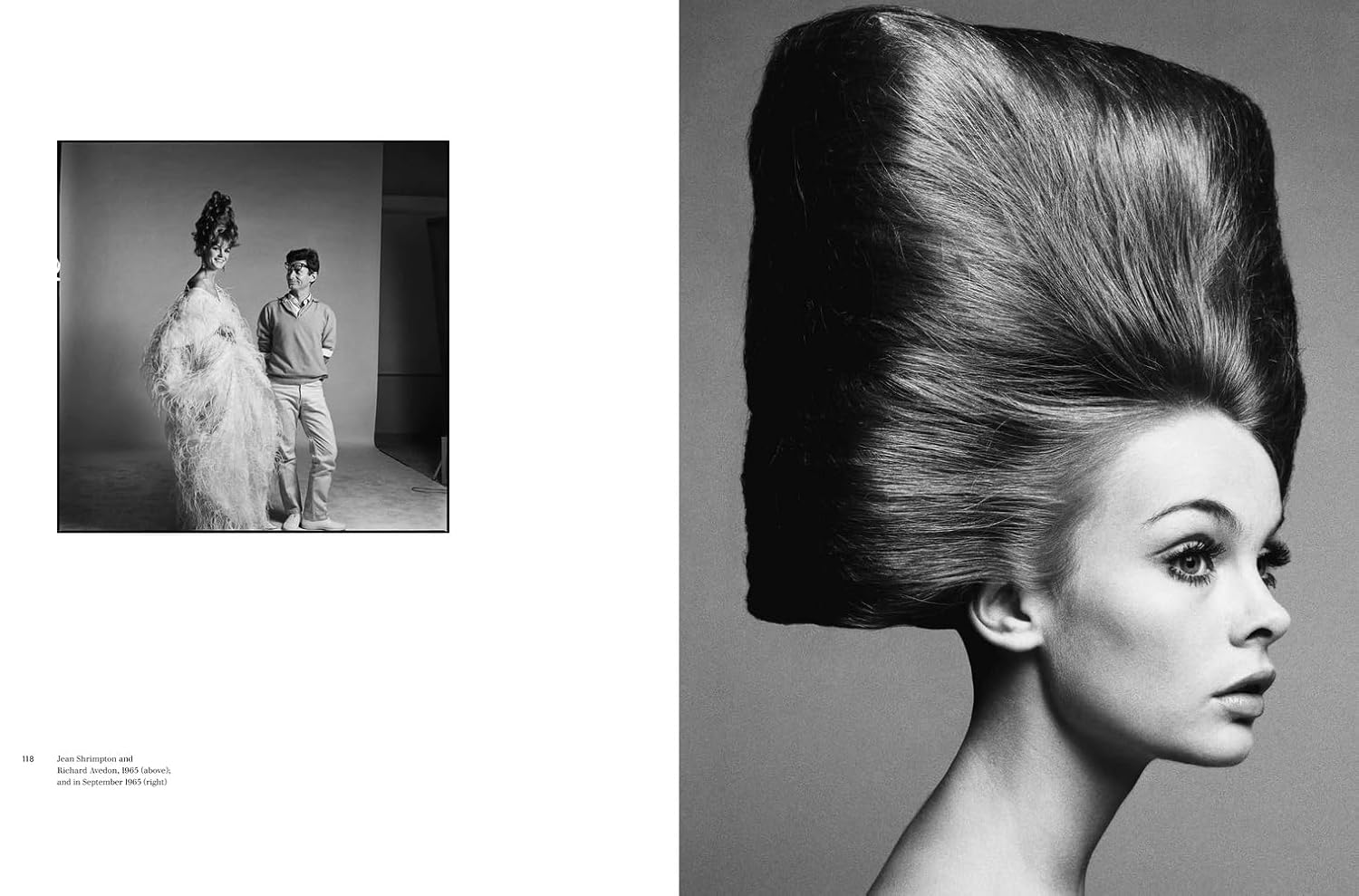 Richard Avedon: The Harper's Bazaar Years