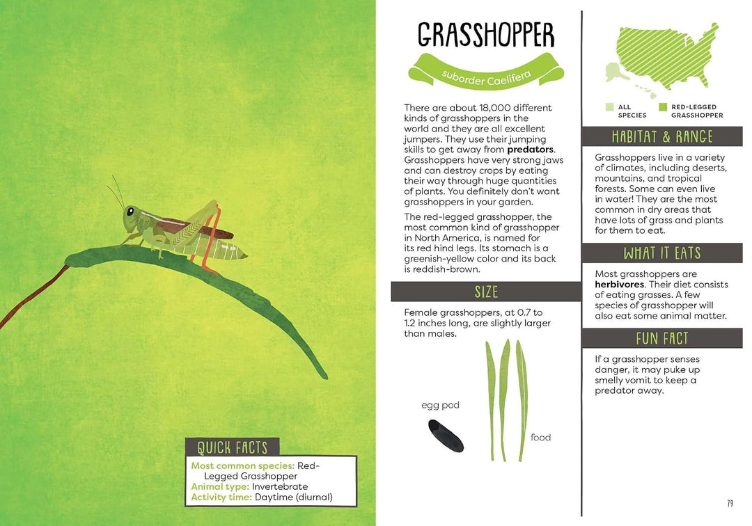 A Kid's Guide To Backyard Animals