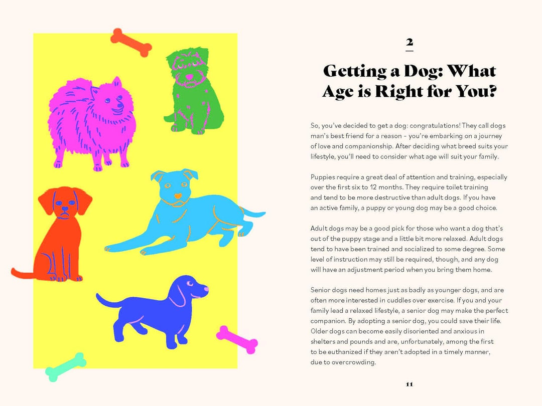 The Ultimate Guidebook For Dog Owners