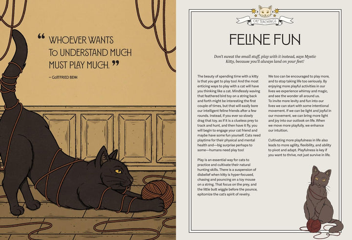 Mystic Kitty: A cat's Guide To Meditation - Just Fabulous Palm Springs