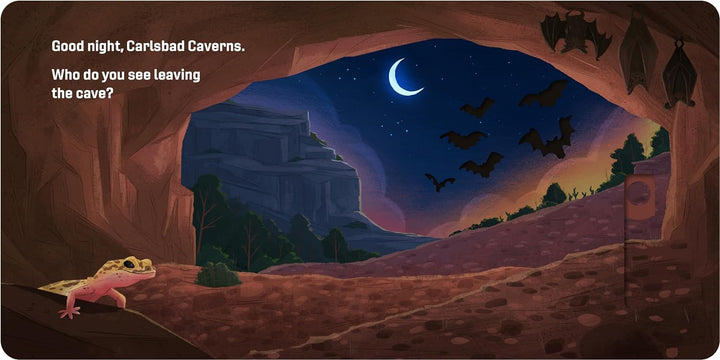 Good Night, National Parks