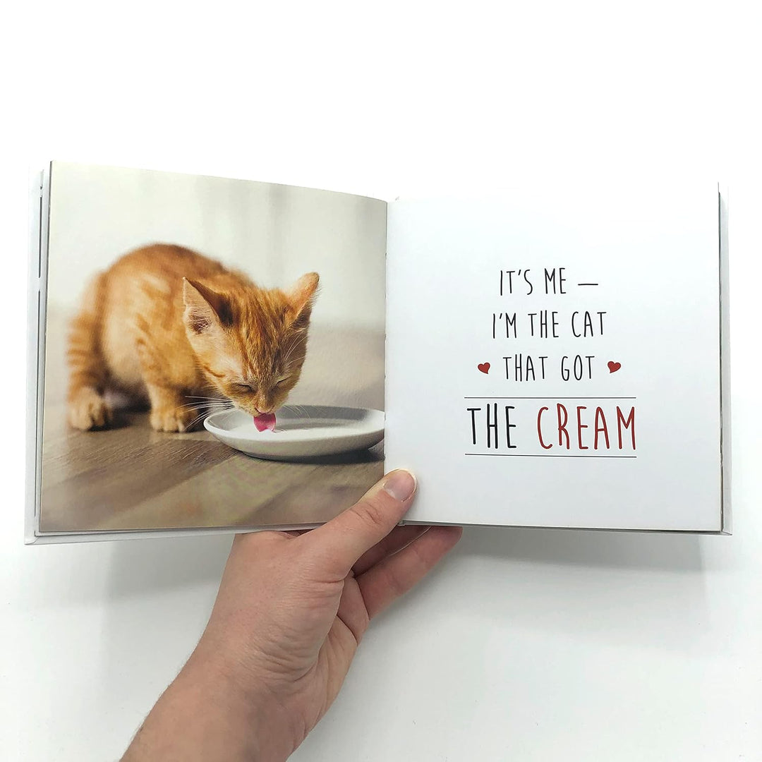 Love Is A Kitten