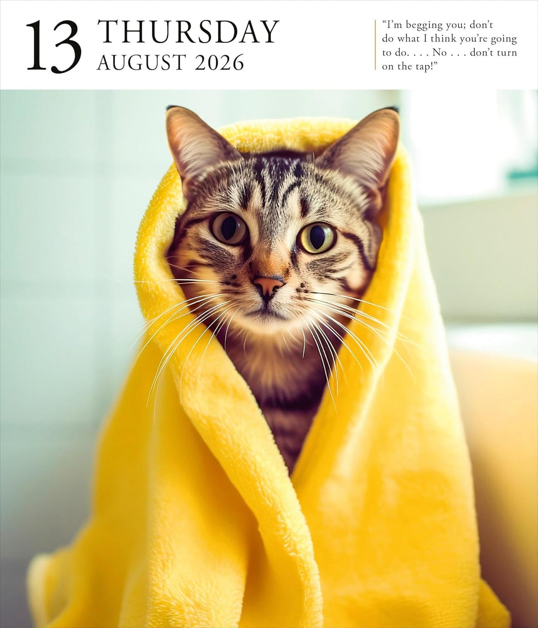 Page-A-Day Gallery Calendar 2026: Cats