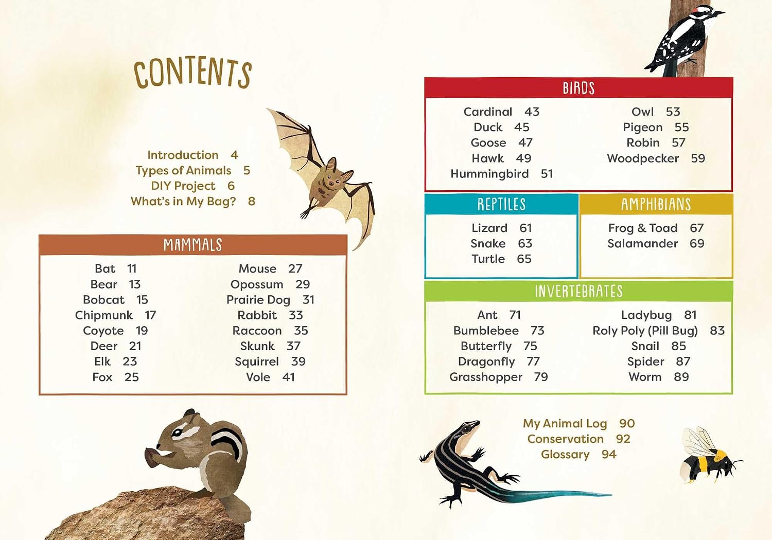 A Kid's Guide To Backyard Animals