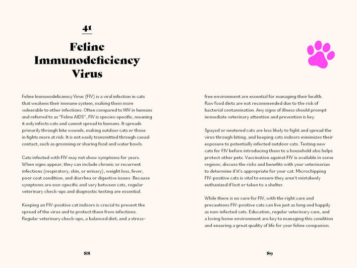 The Ultimate Guidebook For Cat Owners