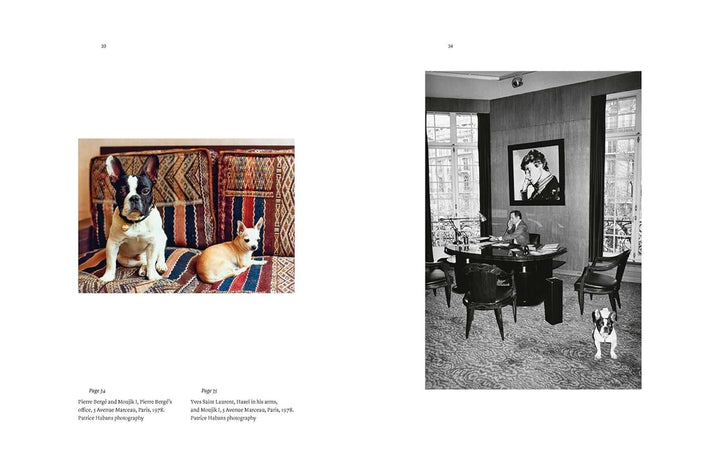 Yves Saint Laurent And His Dogs: Amigos Forever