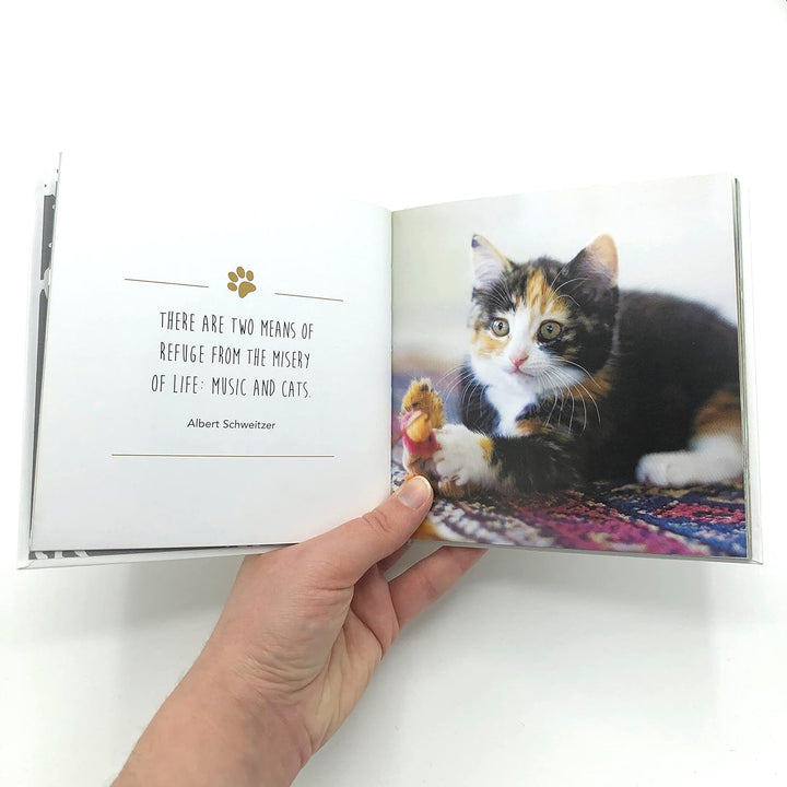 Love Is A Kitten