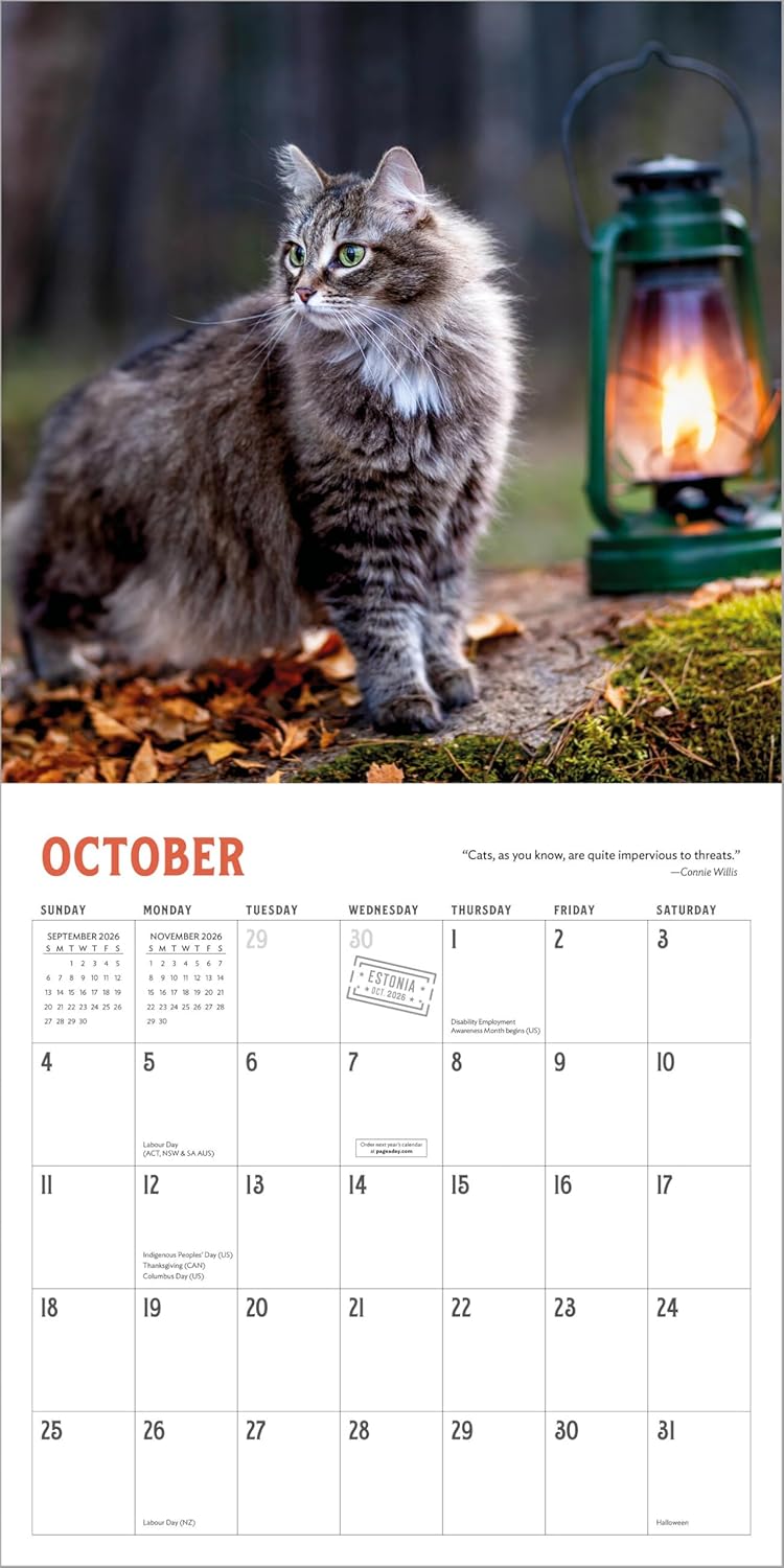 Wall Calendar 2026: Travel Cats