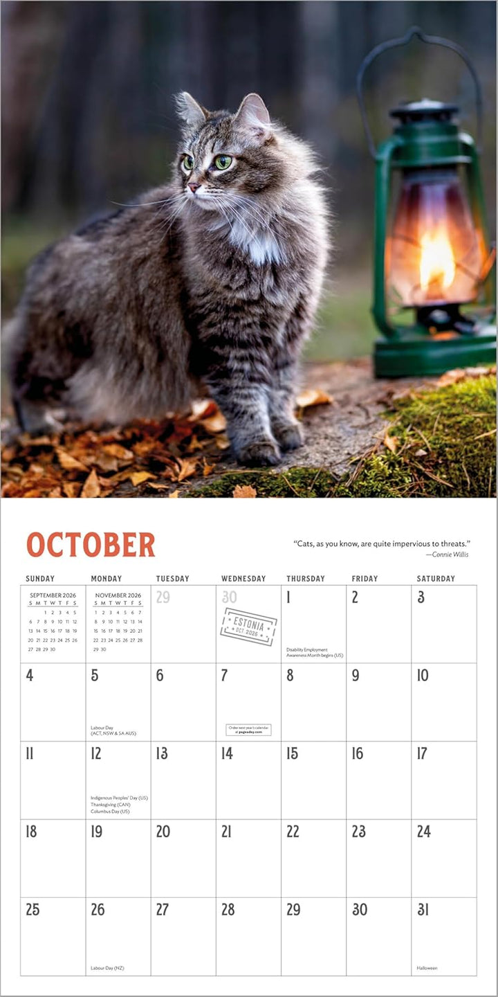 Wall Calendar 2026: Travel Cats