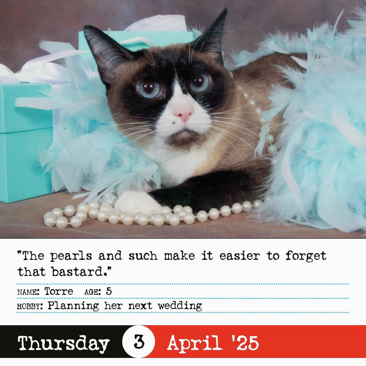 Bad Cat Page-A-Day Calendar 2025