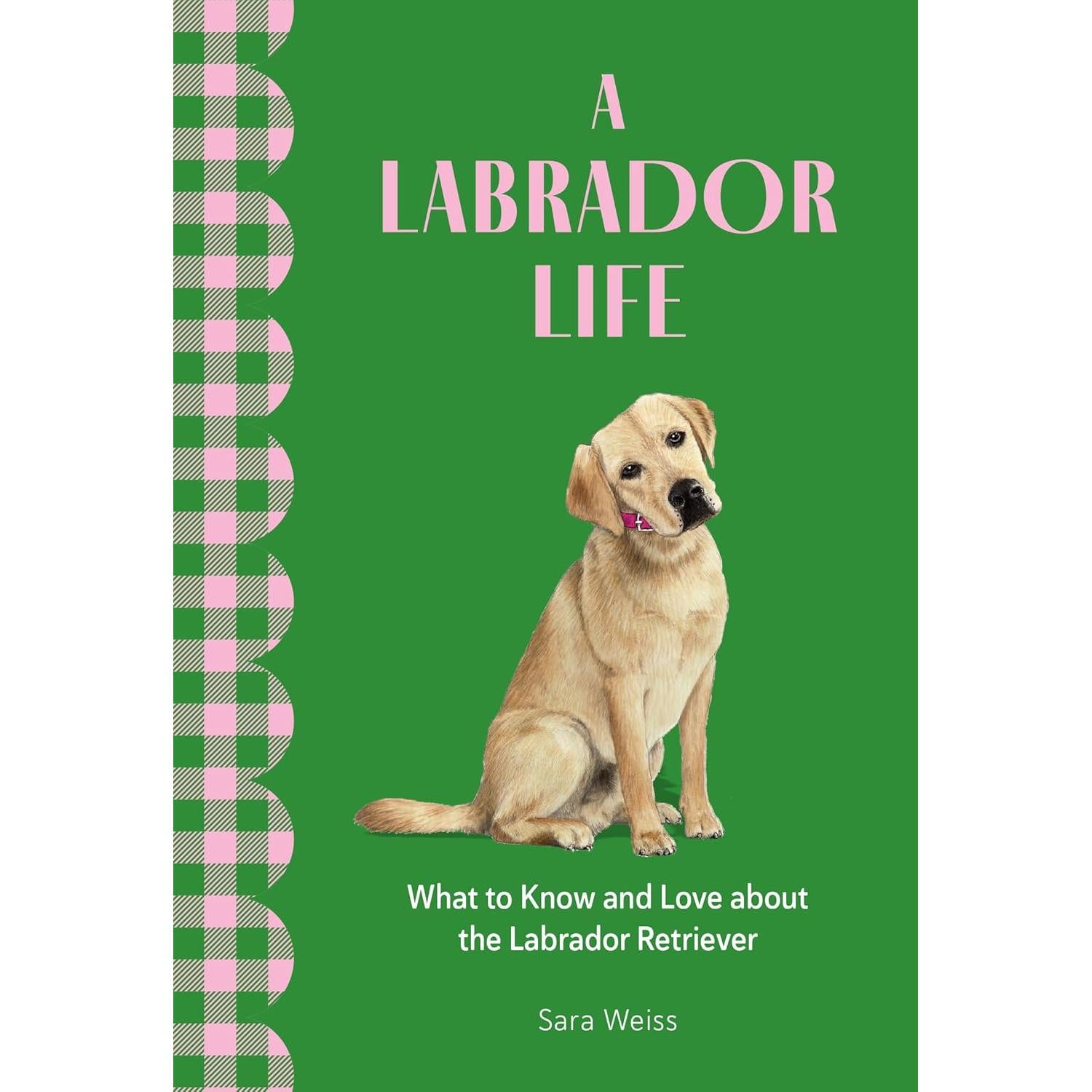 A Labrador Life: What To Know And Love About The Labrador Retreiver - Just Fabulous Palm Springs