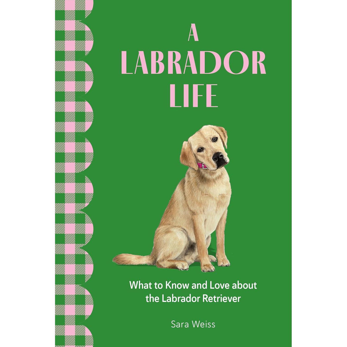 A Labrador Life: What To Know And Love About The Labrador Retreiver - Just Fabulous Palm Springs
