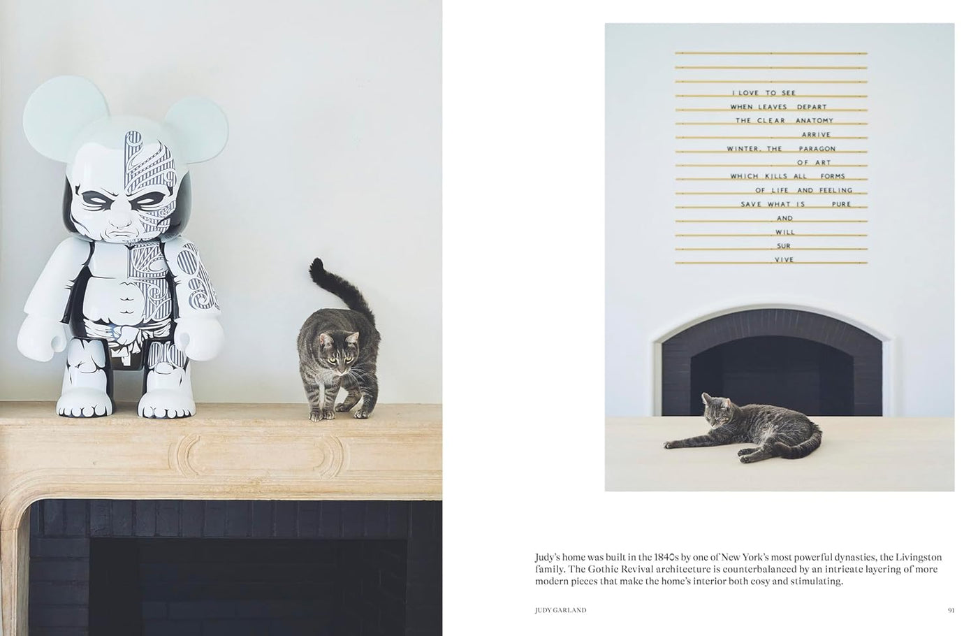 House Cat: Inspirational Interiors And The Elegant Felines Who Call Them Home