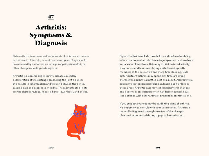 The Ultimate Guidebook For Cat Owners