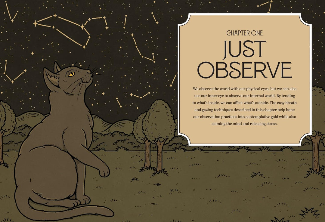 Mystic Kitty: A cat's Guide To Meditation - Just Fabulous Palm Springs