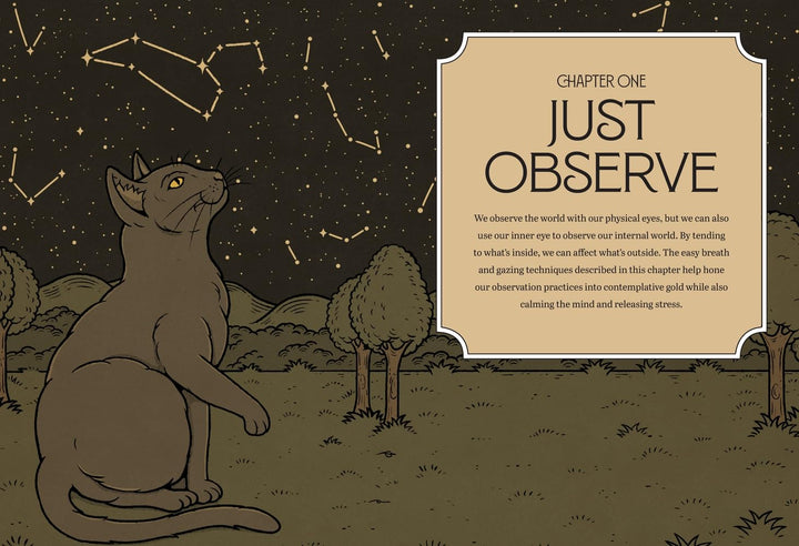 Mystic Kitty: A cat's Guide To Meditation - Just Fabulous Palm Springs