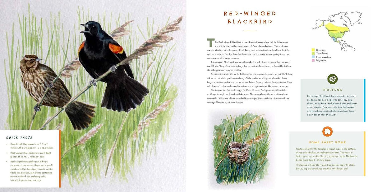 Hear Them Sing: A Kid's Book of North American Bird Songs and Calls