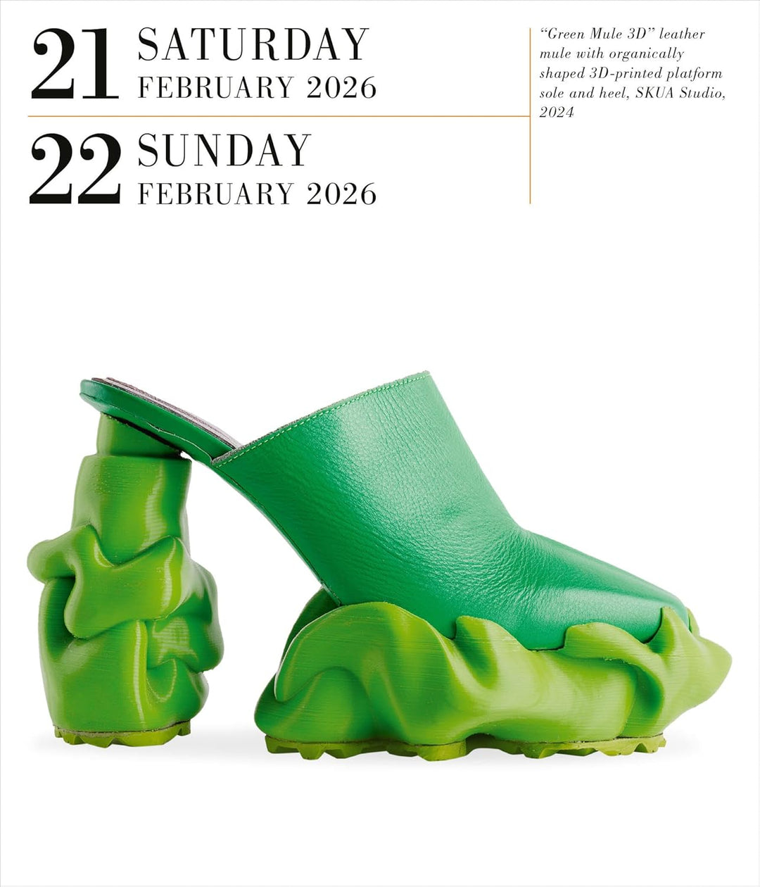 Page-A-Day Gallery Calendar 2026: Shoes