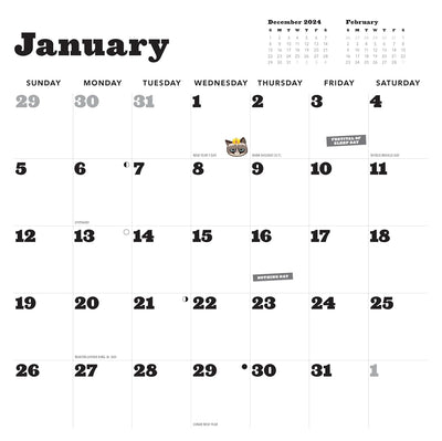 Grumpy Cat 2025 Wall Calendar