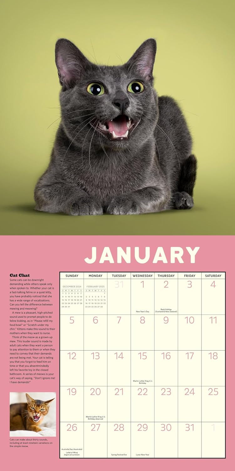 How To Speak Cat Wall Calendar 2025