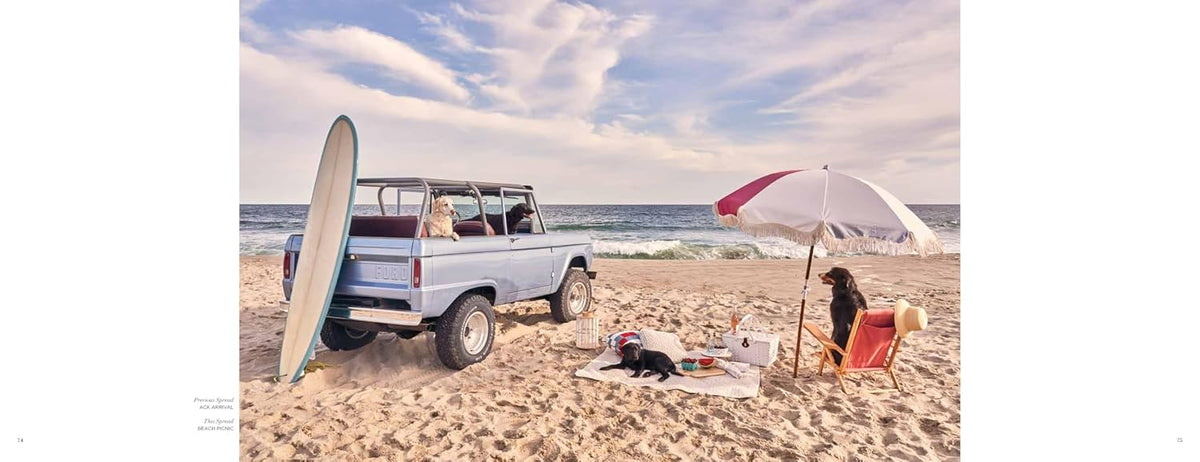 Gray Malin: Dogs - Just Fabulous Palm Springs