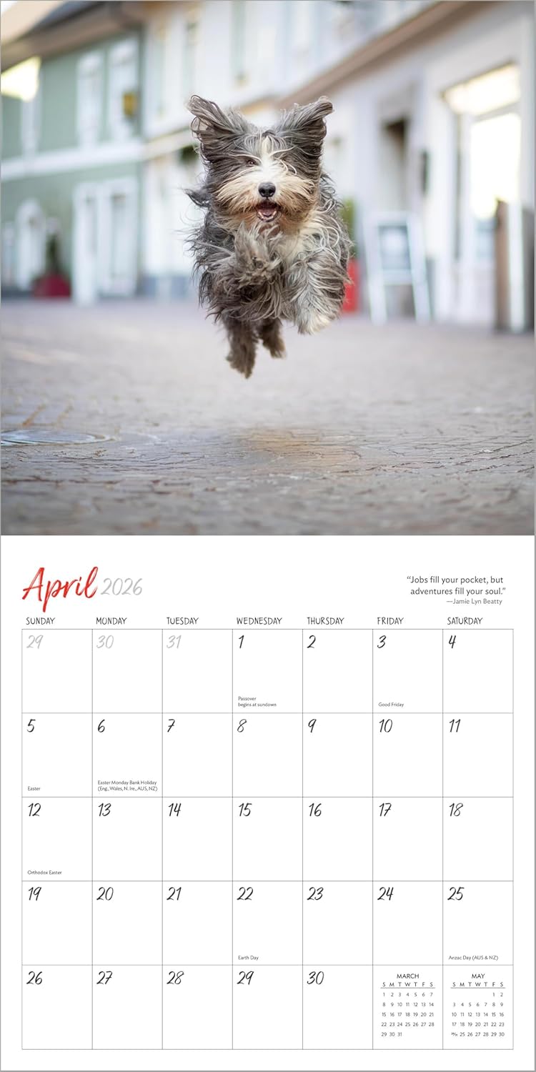 Wall Calendar 2026: Dogs On Vacation