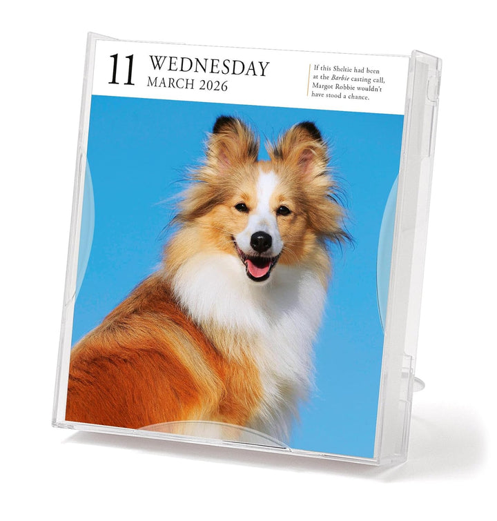 Page-A-Day Gallery Calendar 2026: Dogs