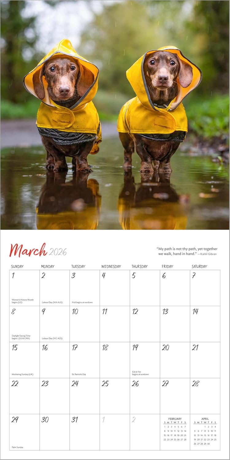 Wall Calendar 2026: Dogs On Vacation