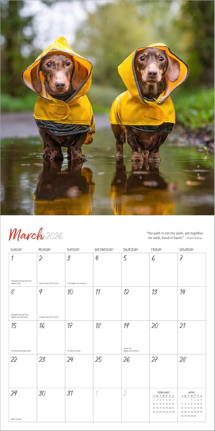 Wall Calendar 2026: Dogs On Vacation