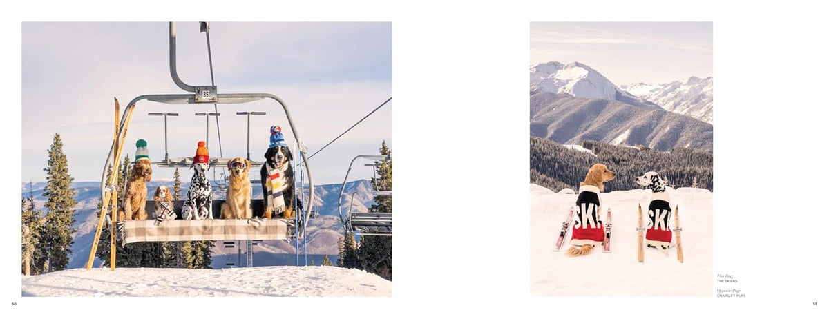 Gray Malin: Snow