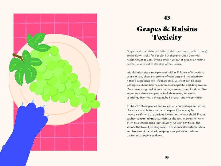 The Ultimate Guidebook For Cat Owners