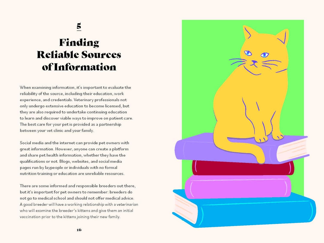 The Ultimate Guidebook For Cat Owners