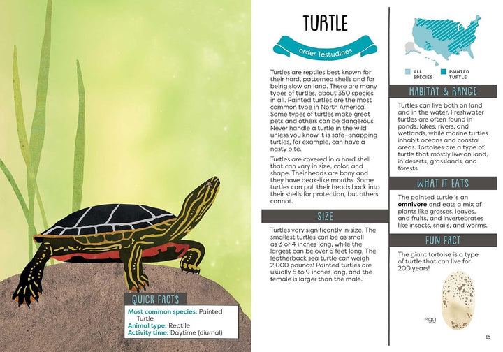 A Kid's Guide To Backyard Animals