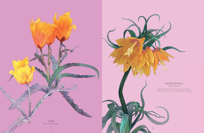 Petal: The World Of Flowers Through An Artist's Eye