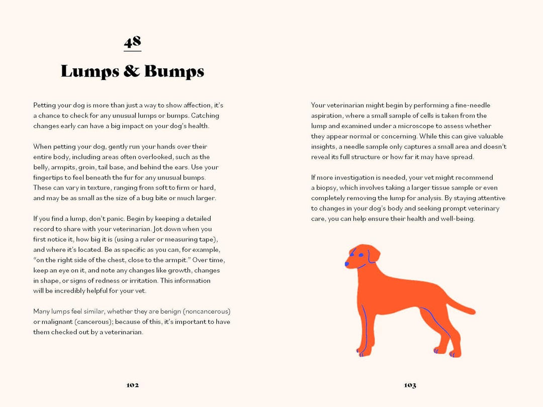 The Ultimate Guidebook For Dog Owners